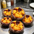 Fresh Sea Urchin Roe, Shell On